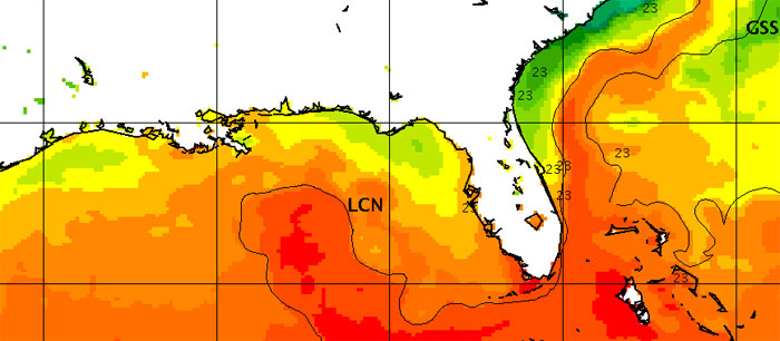 infrared image of ocean currents near Florida