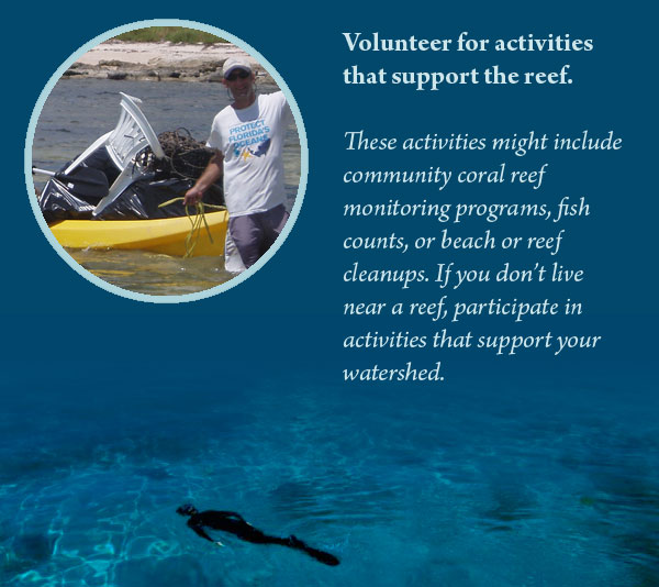 Volunteer for activities that support the reef