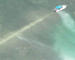 boat grounded in seagrass
