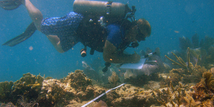 scientist conducting coral research