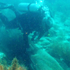 Diver inspects net.