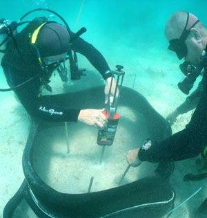 Divers drill steel rebar inside plastic mold.