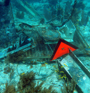 Orange triangle sits amidst marine debris on seafloor.