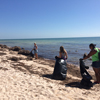 Photo of Margaritaville volunteers combing the beach for trash.