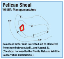 map of Pelican Shoal