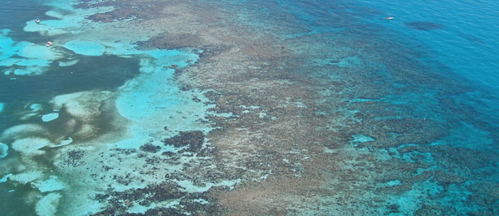 aerial view of reef