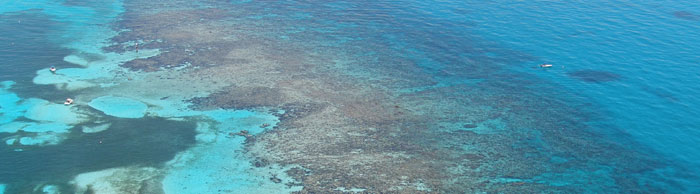 aerial view of reef at Carysfort