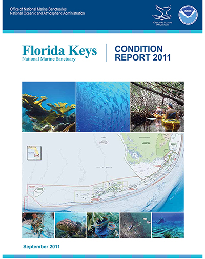 Condition Report 2011.