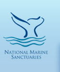 Sanctuaries logo.