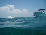 Photo of Florida Keys Eco-Discovery Center.
