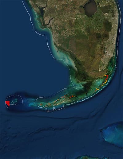 satellite view of the florida keys with marine zones highlighted