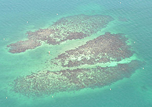 aerial view of Spar buoys in the water