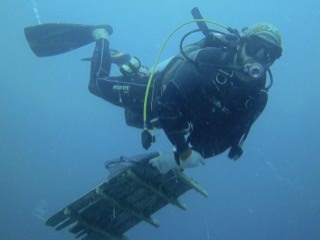 divers removing marine debris