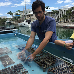 scientist handeling coral fragments in a water tank