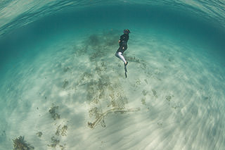 diver swimming to the surface