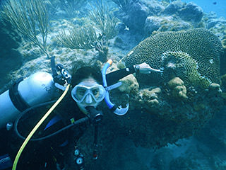 diver pointing out diseased coral