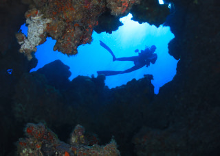 diver swimming around a coral reef