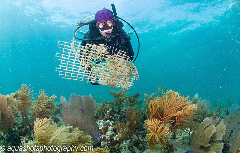 scuba diver holding marine debris