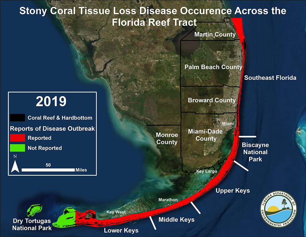map showing the location of stony coral tissue loss disease in the Florida Keys