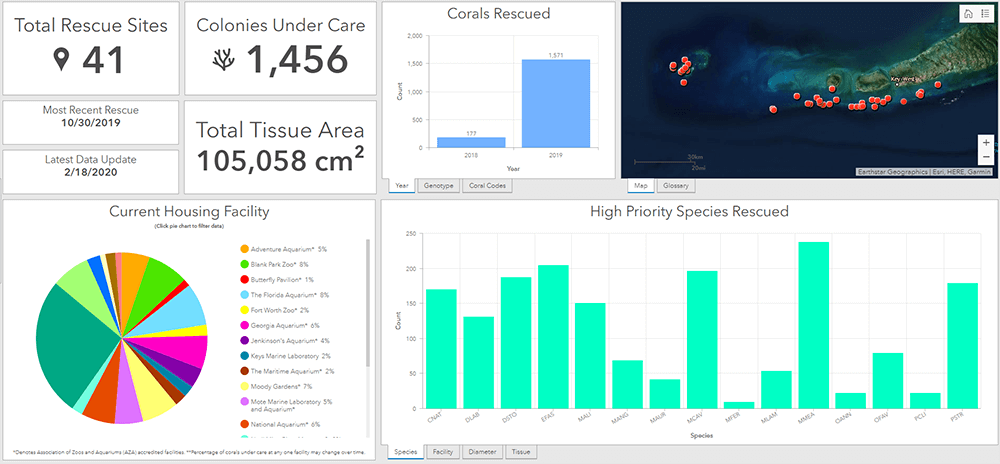 screen capture of coral monitoring dashboard