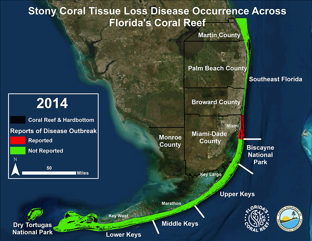 animated map showning the progression of coral disease outbreak extent across the florida reef tract from 2014 - 2020