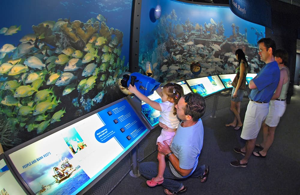 family interacting with an exhibit