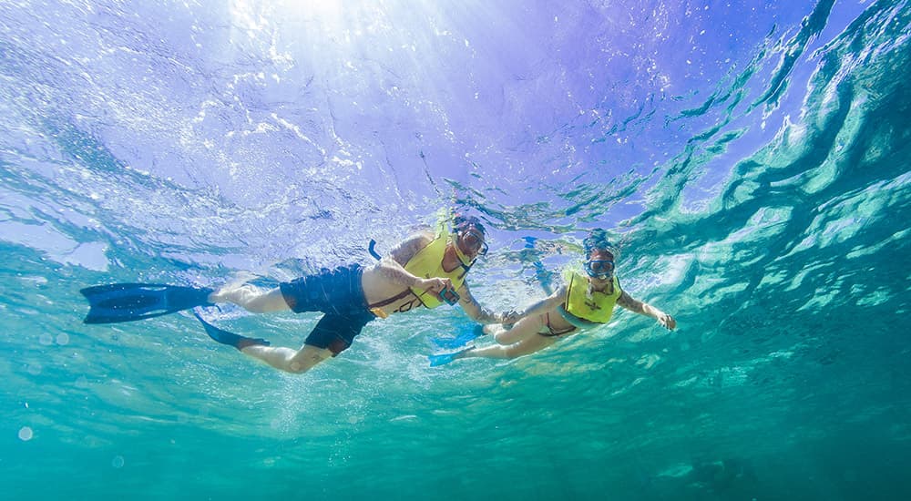 Snorkelers enjoying the water