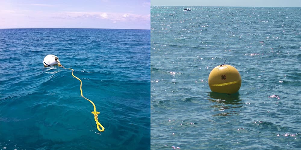 side by side images of mooring buoys in the water
