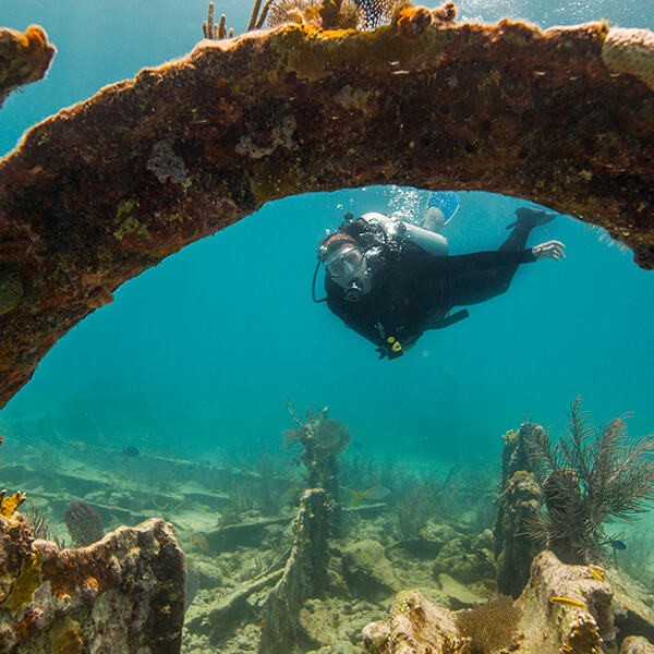 A diver explores a shipwreck