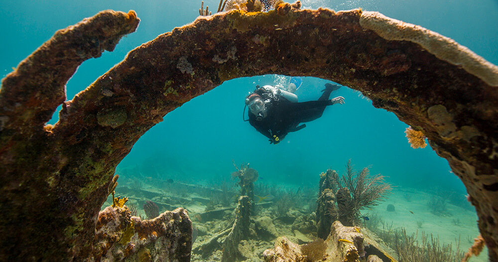 a diver swims near an arch formed by a part of a shipwreck