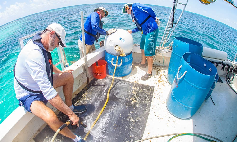 members of the buoy team working on a buoy