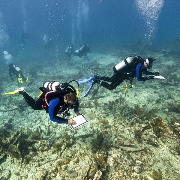 Many divers survey the sea floor