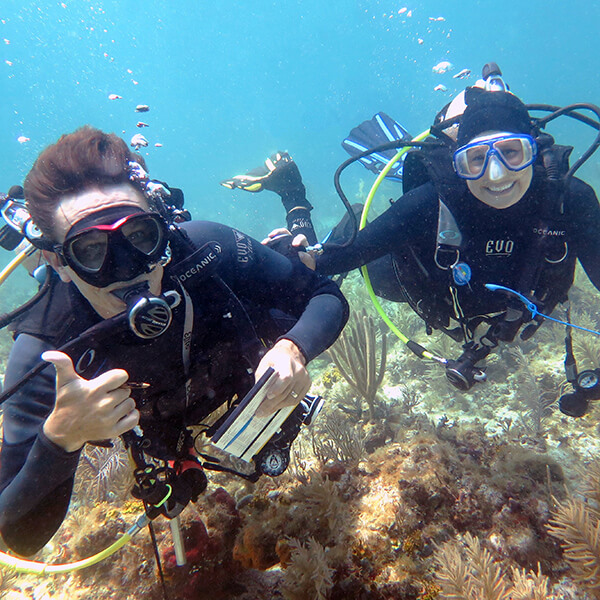 two divers pose for a photo while surveying a reef one smiles while the other gives a thumbs up