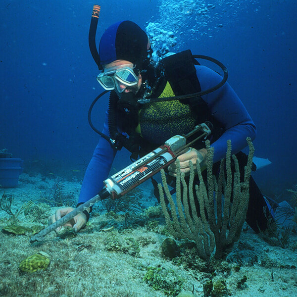 A diver takes samples while holding a tool in their hand