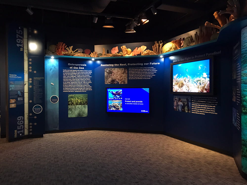 Eco-Discovery Center coral reef exhibit