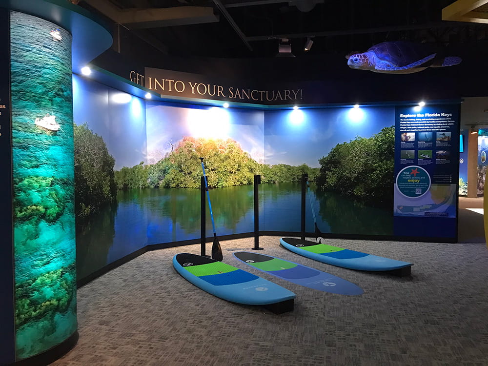 Eco-Discovery Center paddle board exhibit