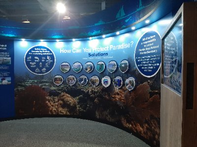 how can you protect paradise exhibit