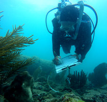 Science divers note the species, size, location and recommendation for the restoration of corals