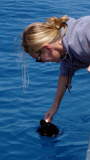 collecting a water sample