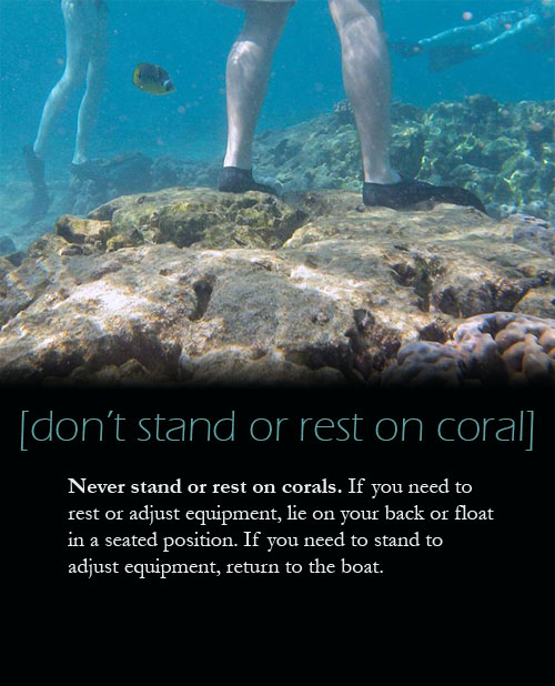 Never stand or rest on corals