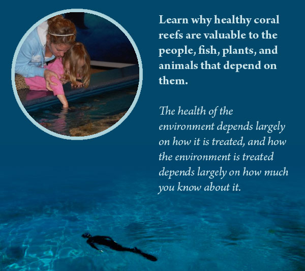 Learn why reefs are valuable