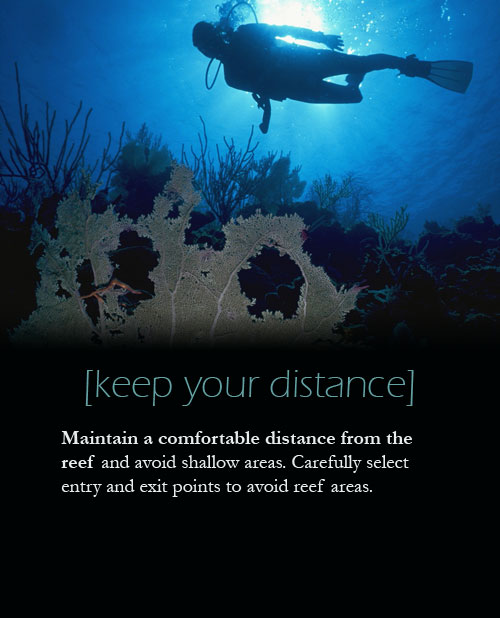 Maintain a comfortable distance from the reef