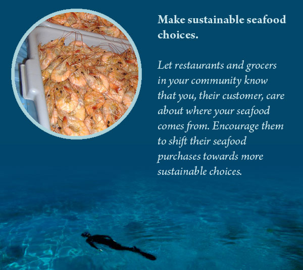 Make sustainable seafood choices