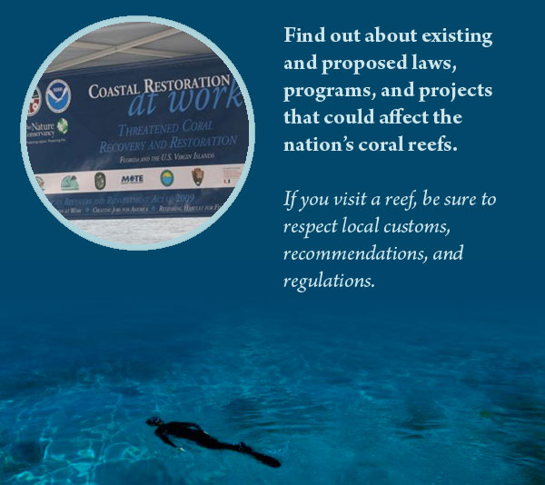 Find out about laws and programs that protect reefs