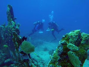 divers looking at a shipwreck