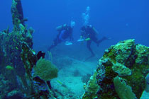 divers researching a shipwreck