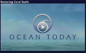 ocean today video screen