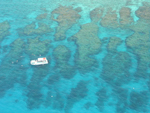 Aerial of sanctuary reef.