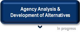 Agency Analysis and Alternatives Development.