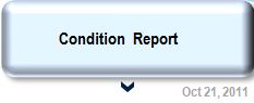 Condition Report button.